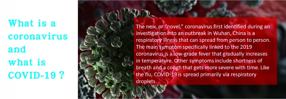 what is a coronavirus and what is COVID-19?